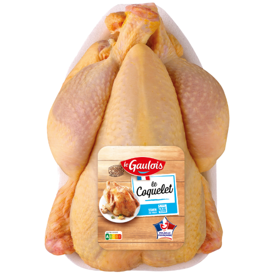 Coquelet Jaune Le Gaulois